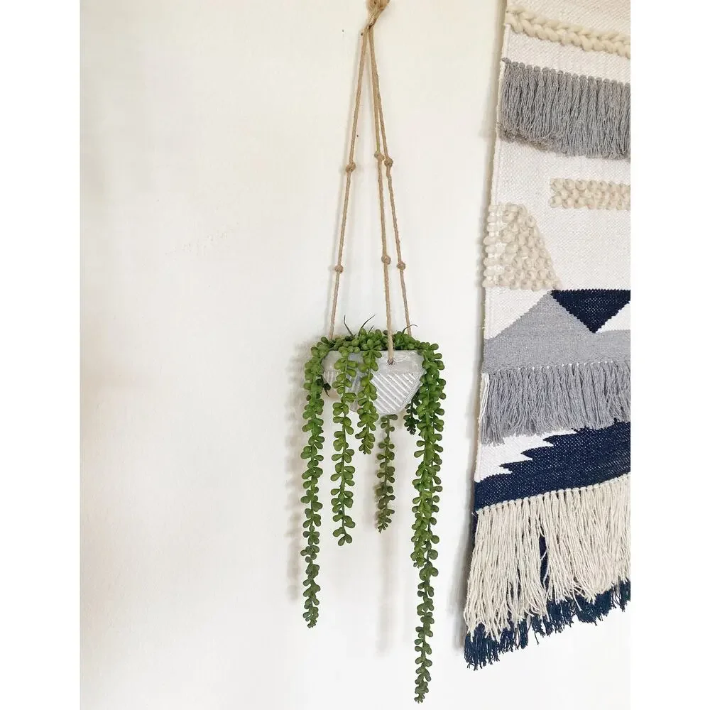 Artificial Burro's Succulent Plant in Textured Concrete Pot with Jute Twine - Picture 5 of 5